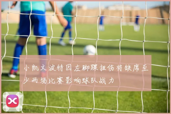 小凯文波特因左脚踝扭伤将缺席至少两场比赛影响球队战力